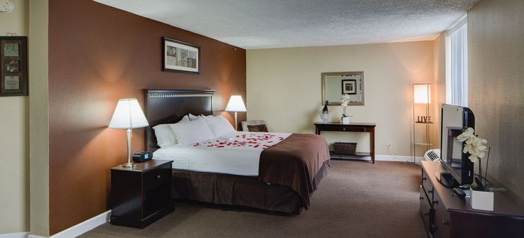 Hotel Holiday Inn Chicago-Countryside-Lagrange:  CHICAGO (IL)