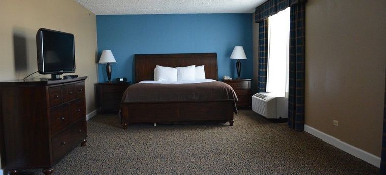 Hotel Holiday Inn Chicago-Countryside-Lagrange:  CHICAGO (IL)