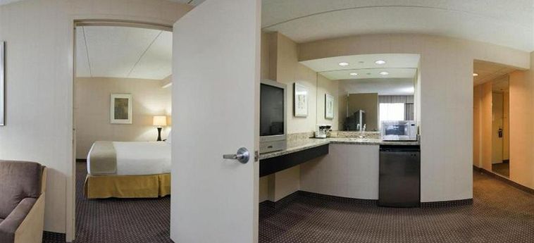 Hotel Holiday Inn Express Chicago-Palatine-N Arlngtn Hts:  CHICAGO (IL)
