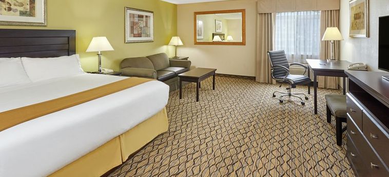 Holiday Inn Express Hotel & Suites Chicago-Libertyville:  CHICAGO (IL)