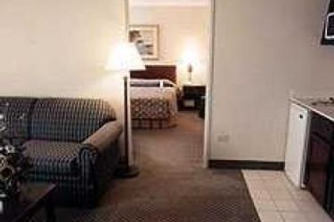 Holiday Inn Hotel & Suites Chicago-Downtown:  CHICAGO (IL)