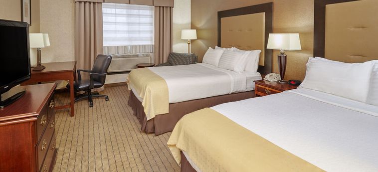 Holiday Inn Hotel & Suites Chicago Carol-Stream (Wheaton):  CHICAGO (IL)