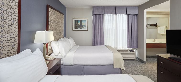 Holiday Inn Hotel & Suites Chicago Carol-Stream (Wheaton):  CHICAGO (IL)