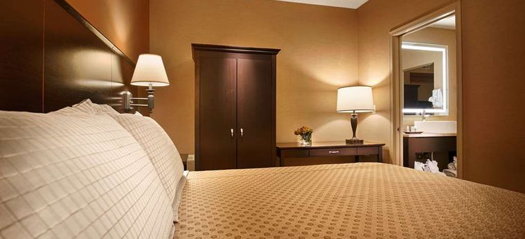 Hotel Best Western Plus Hawthorne Terrace Chicago (Il): Foto 