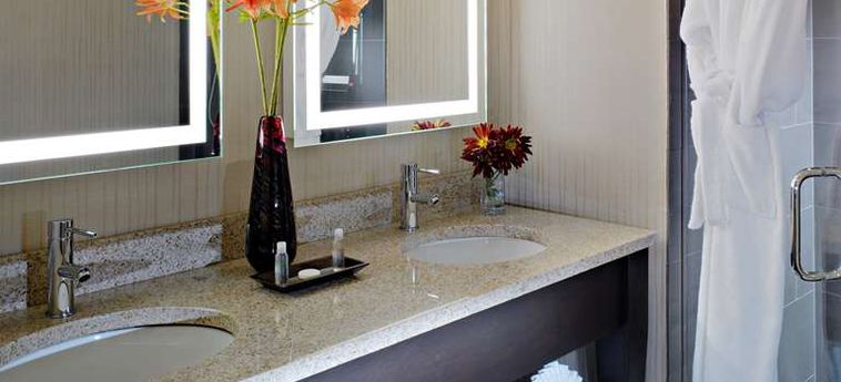 Hotel Best Western Plus Hawthorne Terrace Chicago (Il): Foto 