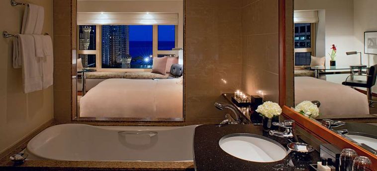 Hotel Park Hyatt:  CHICAGO (IL)