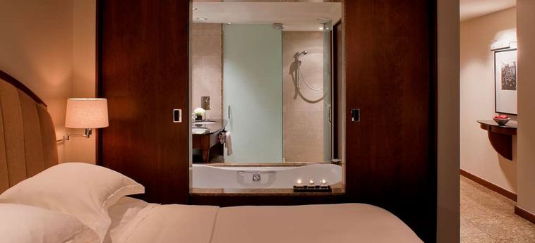 Hotel Park Hyatt:  CHICAGO (IL)