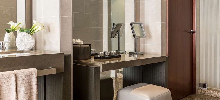 Hotel Park Hyatt:  CHICAGO (IL)