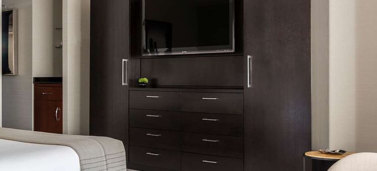 Hotel Park Hyatt:  CHICAGO (IL)