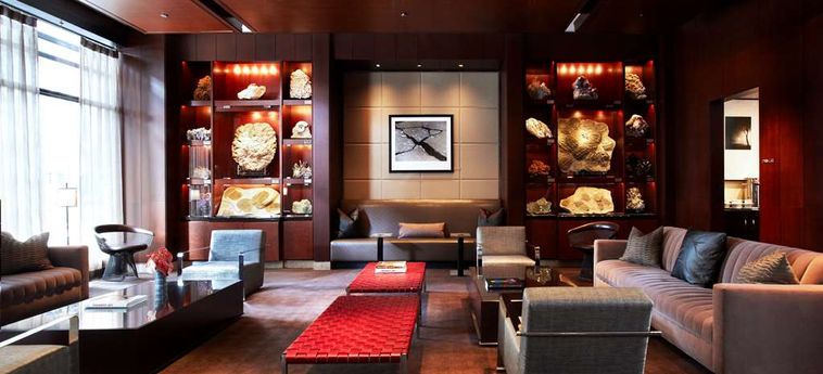 Hotel Park Hyatt:  CHICAGO (IL)
