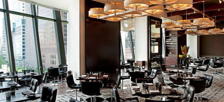Hotel Park Hyatt:  CHICAGO (IL)