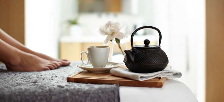 Hotel Park Hyatt:  CHICAGO (IL)