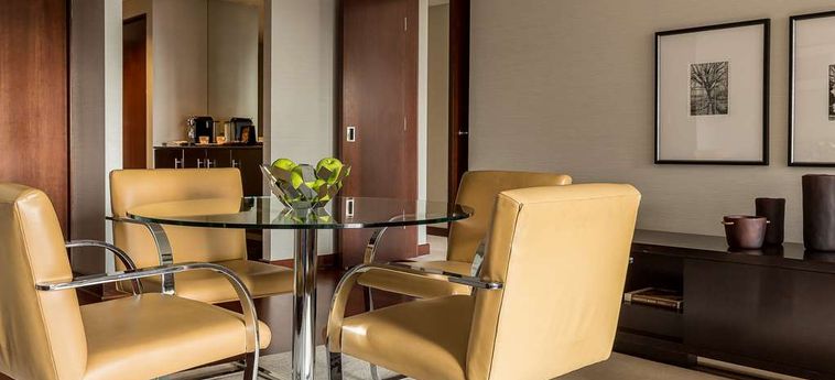 Hotel Park Hyatt:  CHICAGO (IL)