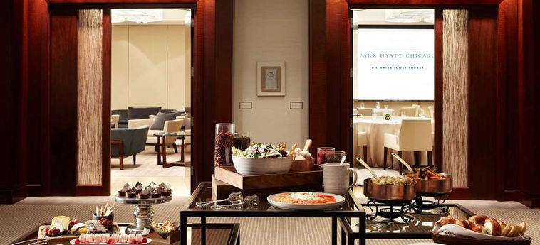 Hotel Park Hyatt:  CHICAGO (IL)