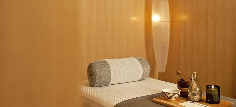 Hotel Park Hyatt:  CHICAGO (IL)