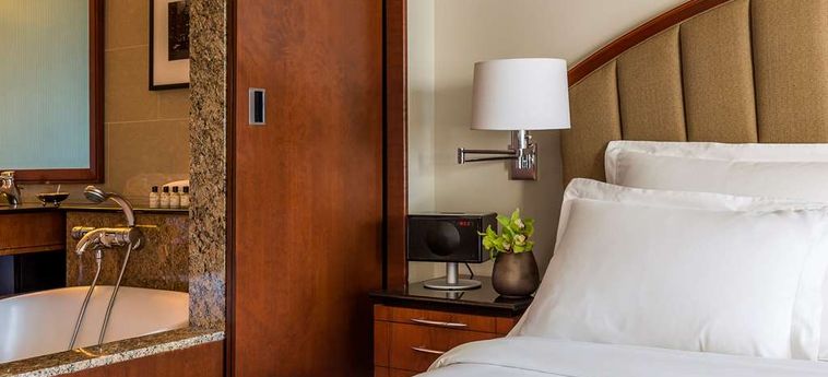 Hotel Park Hyatt:  CHICAGO (IL)