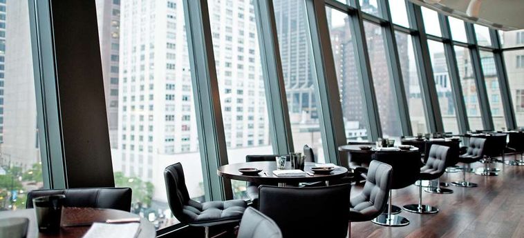 Hotel Park Hyatt:  CHICAGO (IL)