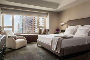 Hotel Park Hyatt:  CHICAGO (IL)