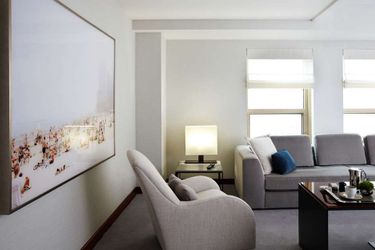 Hotel Park Hyatt:  CHICAGO (IL)