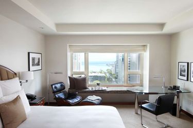 Hotel Park Hyatt:  CHICAGO (IL)