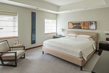 Hotel Park Hyatt:  CHICAGO (IL)