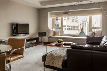 Hotel Park Hyatt:  CHICAGO (IL)