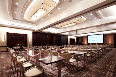 Hotel Park Hyatt:  CHICAGO (IL)
