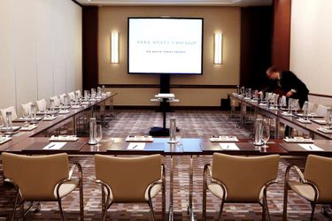 Hotel Park Hyatt:  CHICAGO (IL)