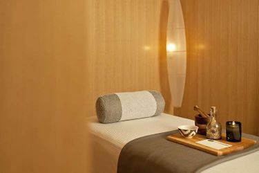 Hotel Park Hyatt:  CHICAGO (IL)
