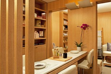 Hotel Park Hyatt:  CHICAGO (IL)