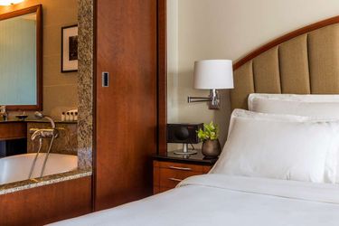 Hotel Park Hyatt:  CHICAGO (IL)