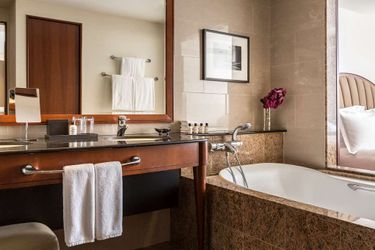 Hotel Park Hyatt:  CHICAGO (IL)