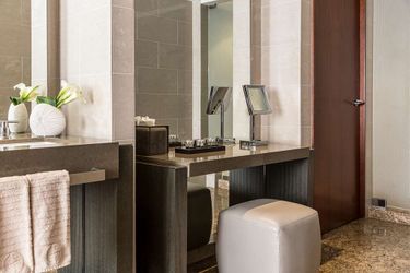 Hotel Park Hyatt:  CHICAGO (IL)