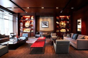 Hotel Park Hyatt:  CHICAGO (IL)