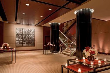 Hotel Park Hyatt:  CHICAGO (IL)