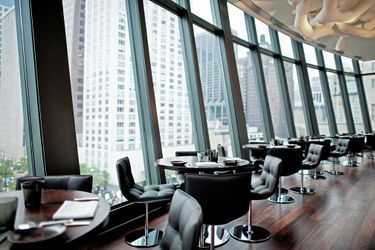 Hotel Park Hyatt:  CHICAGO (IL)