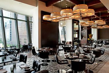 Hotel Park Hyatt:  CHICAGO (IL)