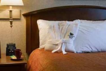 Hotel Homewood Suites By Hilton Chicago-Downtown:  CHICAGO (IL)