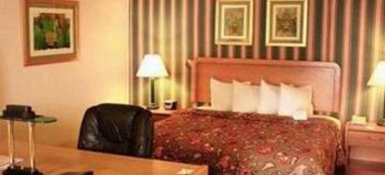 Hotel Holiday Inn & Suites Chihuahua:  CHIHUAHUA