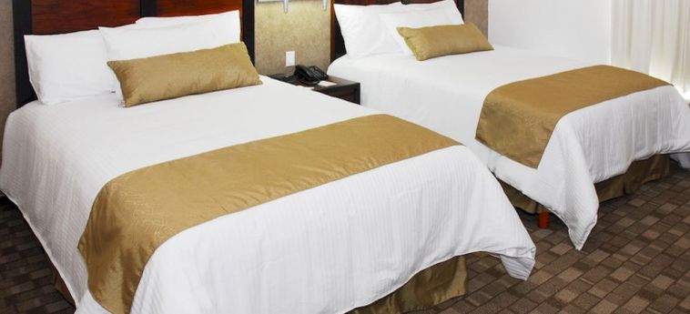 Hotel Comfort Inn Chihuahua:  CHIHUAHUA