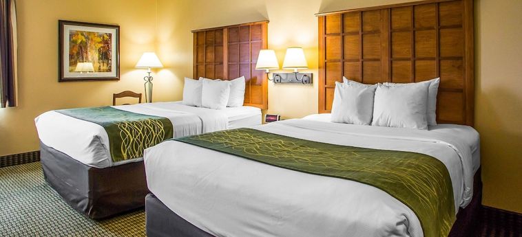 Hotel Comfort Inn & Suites Chillicothe:  CHILLICOTHE (MO)