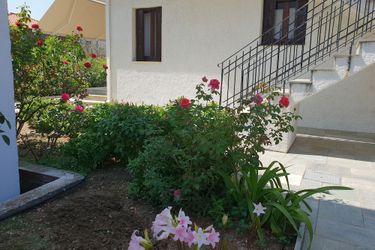 Hotel Zmas Studios Chorto: Photo 
