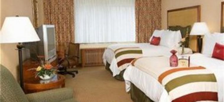 Hotel Sheraton Niagara Falls:  CHUTES DU NIAGARA - USA (NY)