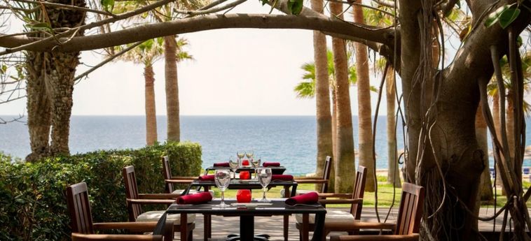 Hotel Azia Resort And Spa Paphos :  CIPRO