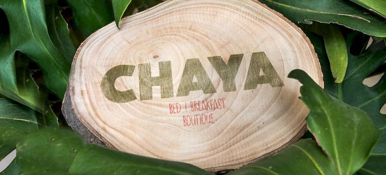 Hotel Chaya B & B Boutique:  CITTA' DEL MESSICO