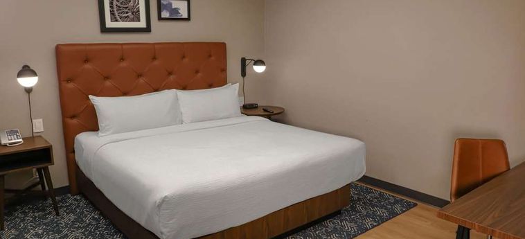 Hotel Four Points By Sheraton Mexico City Colonia Roma Ciudad De Mèxico: Foto 