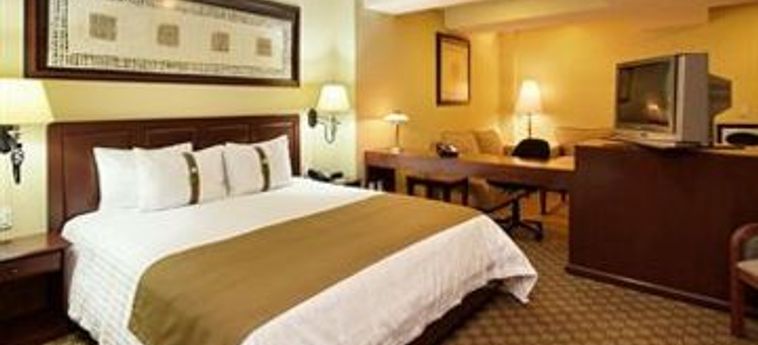 Holiday Inn Hotel & Suites Mexico Zona Rosa:  CIUDAD DE MÈXICO