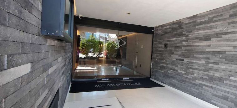 Hotel Alia Inn Boutique Wtc Ciudad De Mèxico: Foto 