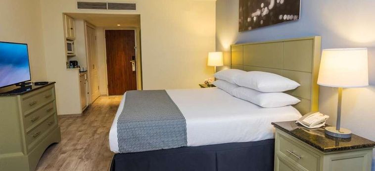 Hotel Hilton Garden Inn Ciudad Juarez Ciudad Juarez : Photo 