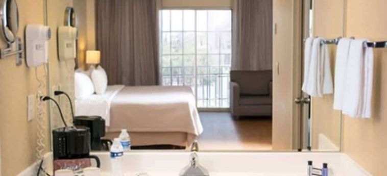 Hotel Holiday Inn Express Ciudad Juarez Ciudad Juarez : Photo 